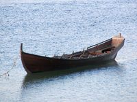 Fjordamerra (1996) Foto: Olve Utne (2012).