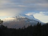 62. C07939 Savvluo.jpg