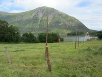 168. C09545 hesjing.jpg