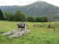 171. C09552 hesjing.jpg