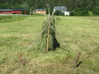 183. C09605 hesjing.jpg