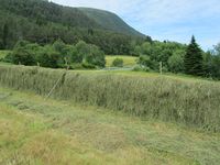 186. C09612 hesjing.jpg