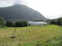 193. C09635 hoyberging.jpg