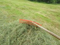 195. C09638 hoyberging.jpg