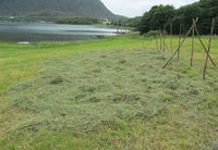 196. C09639 hoyberging.jpg