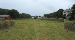 C09648crj hesjing - Golma.jpg