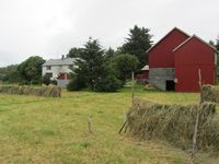 202. C09653 hesjing - Golma.jpg