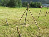 211. C09672 hesjing.jpg