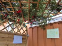 269. C10954 sukka.jpg