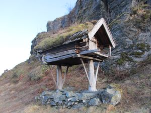 C11795 njalle (Sverresborg).jpg