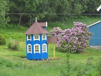 299. C13311 Mumihus Skardsøya.jpg