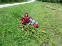 293. C17097s glade ungar med høymolfangsten sin.jpg