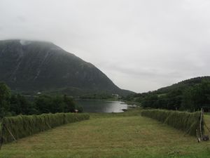 C17108 hesjer - Dalan.jpg