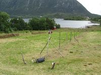 Tom hesje på Tustna på Nordmøre. Foto: Olve Utne (2015).