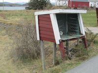 Fætta på Golmøya på Tustna. Foto: Olve Utne (2016).
