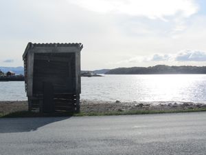 C20033 Skardsøya mjøkramp.jpg