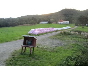 C21698 mjølkramp - Eidslia (Hemne).jpg