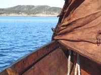 Seglhalsen. Foto: Olve Utne (2017).