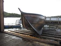 Utsetting av Havhesten. Foto: Olve Utne (2017).