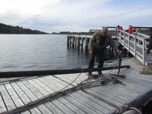 C23229 Havhesten (geitbåtfemring).jpg