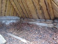 Foto: Olve Utne (2017).