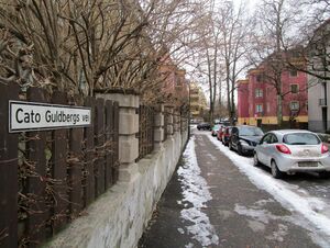 Cato Guldbergs vei Oslo 2015.jpg