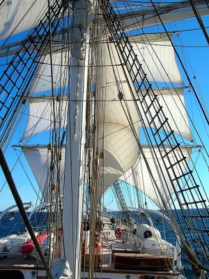 Christian Radich.jpg