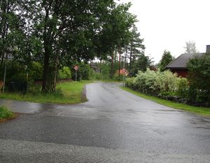 Christine Strays vei Kongsberg 2015.jpg