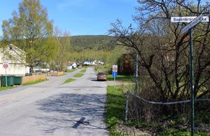 Christopher Hornsruds vei Drammen 2016.jpg