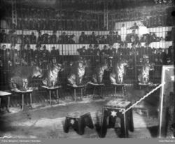 Cirkus Orlando med kongetigre i Cirkusbygningen. Foto: Hermann Christian Neupert/Oslo Museum (november 1908).