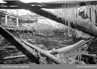 Brannruinene i 1963 Foto: Johan Brun/Dagbladet (1963)