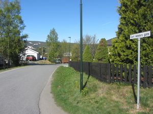 Cort Adelers gate Kongsberg 2014.jpg