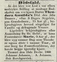 343. Dødsannonse for Theodora Gunilda Johnsen og Marie Holst i Tromsø Stiftstidende 20.12.1860.jpg