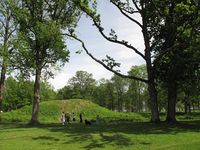 Kongehaugene i Borreparken, tidligere Borre Nasjonalpark. Stor samling av graver fra vikingtiden. Foto: Svend Aage Madsen, 2011