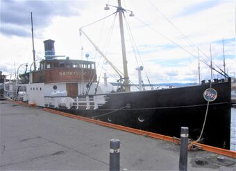 DS Børøysund ved Oslo havn 2012.jpg