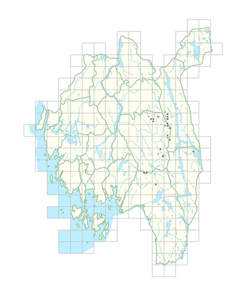 Dactylorhiza majalis subsp. sphagnicola 1.png