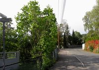 439. Dagaliveien Oslo 2013.jpg