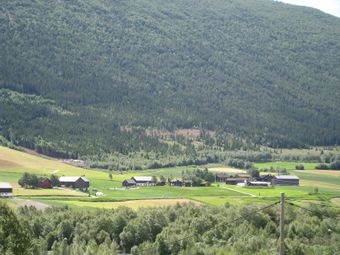 Dagsgard Prestegard 2010.jpg