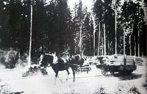 Dal-Bergermoen. Kilde Mathilde Mathiesen og Eidsvoll fotoklubb.jpg