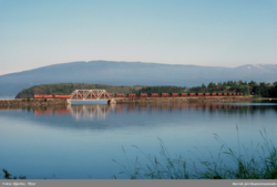 Pukkvogner ved Dalselv. Foto: Thor Bjerke
