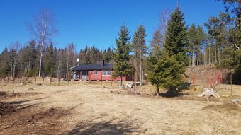 Dalsengen under Spetalen Kongsvinger 2020.jpg