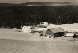 Dammen vestre ca 1960. .jpeg