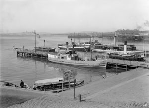 Dampbåter Pipervika.jpg