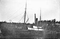 78. Dampskip DS BLENDA ved Mellomstranda (1007).jpg