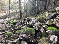 Damrester Dammyra 2.