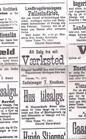 David Seierstad avisannnonser 1901.jpg