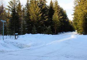 Delesmyrvegen Rollag 2016.jpg