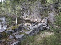 Demningen i Blygruvebekken ved utløpet fra Nedre Fisketjenn.