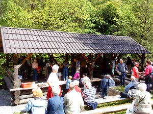 Demo av oppgangssaga.JPG