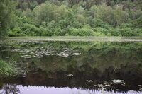 29. Den øverste av Nydammene 2021 (N2047).jpeg